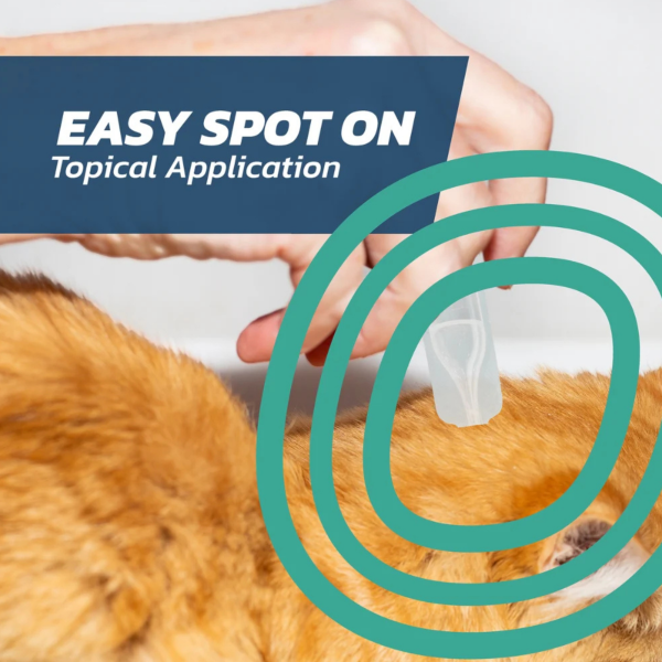 FleaSolve Spot-on Solution for Cats
