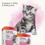 Beaphar Lactol Milk - Kittens