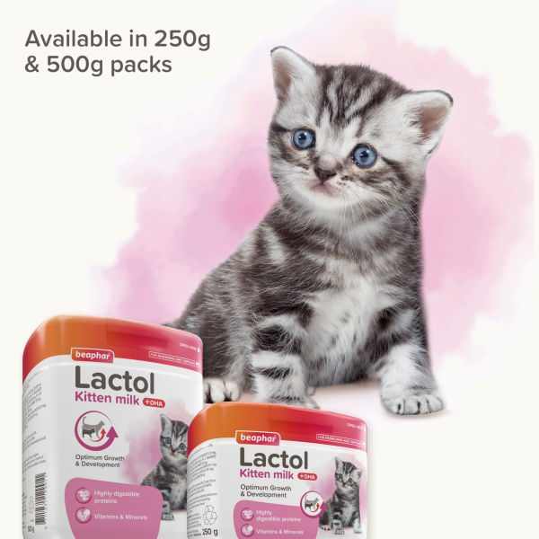 Beaphar Lactol Milk - Kittens