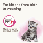 Beaphar Lactol Milk - Kittens