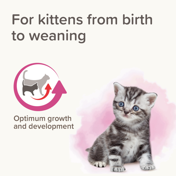 Beaphar Lactol Milk - Kittens