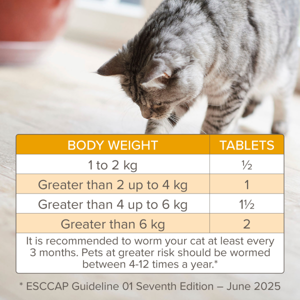 Beaphar Wormclear Cat (2 Tablets)