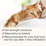 Beaphar Wormclear Spot on for Cats (2 Pipettes)