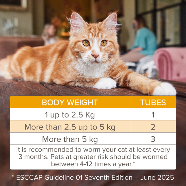 Beaphar Wormclear Spot on for Cats (2 Pipettes)