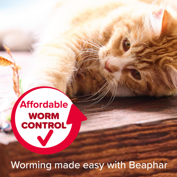 Beaphar Wormclear Spot on for Cats (2 Pipettes)