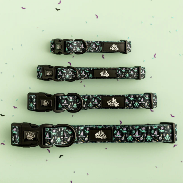 Hello Beenie Collars