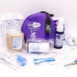 Leucillin Antiseptic Spray