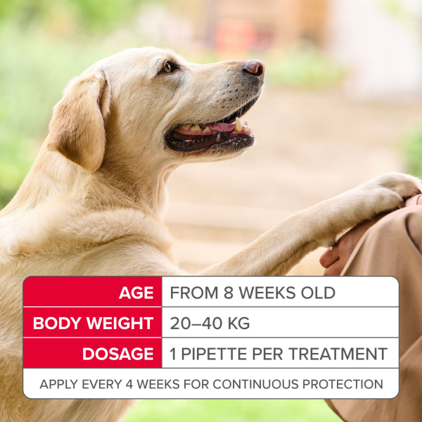 Beaphar - FIPROtec Spot On Large Dog (20-40kg)