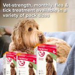 Beaphar - FIPROtec Spot On Large Dog (20-40kg)