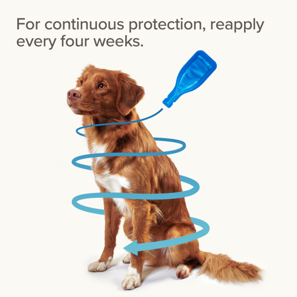 Beaphar - FIPROtec Spot On Small Dog (2-10kg)