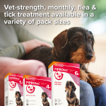 Beaphar - FIPROtec Spot On Small Dog (2-10kg)