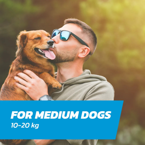 FleaSolve Spot-on Solution for Medium Dogs 10-20kg