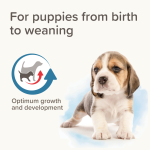 Beaphar Lactol Milk - Puppies