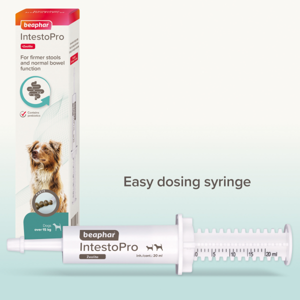 Beaphar IntestoPro Paste - Medium/Large Dogs (over 15kg)