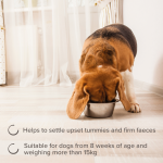 Beaphar IntestoPro Paste - Medium/Large Dogs (over 15kg)