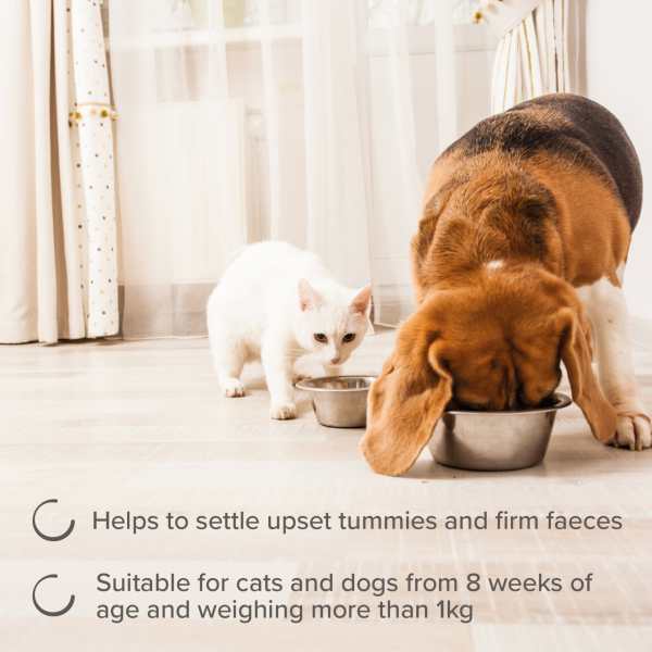 Beaphar IntestoPro Paste - Cats & Small Dogs (1-15kg)