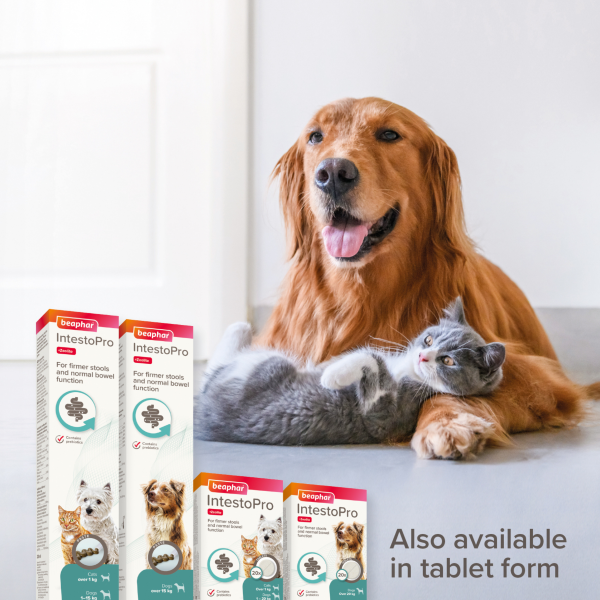 Beaphar IntestoPro Paste - Cats & Small Dogs (1-15kg)
