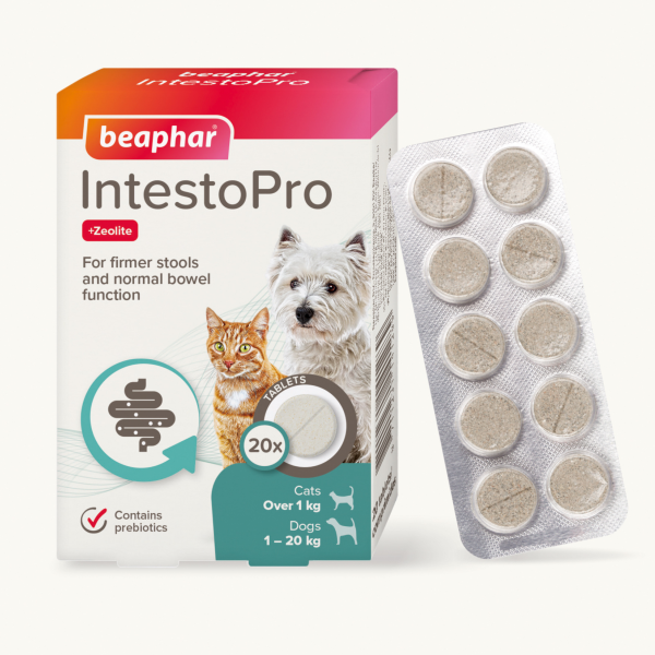 Beaphar IntestoPro - Cats & Small Dogs (1-20kg)