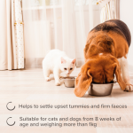 Beaphar IntestoPro - Cats & Small Dogs (1-20kg)