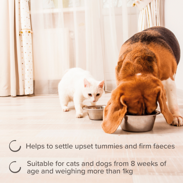 Beaphar IntestoPro - Cats & Small Dogs (1-20kg)