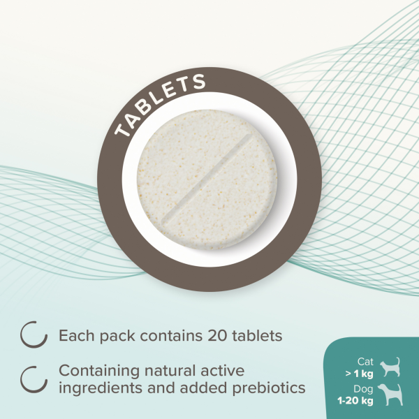 Beaphar IntestoPro - Cats & Small Dogs (1-20kg)