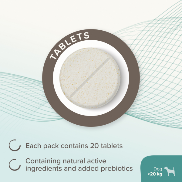 Beaphar IntestoPro - Medium & Large Dogs (over 20kg)