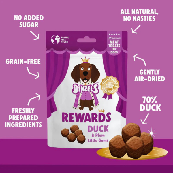 Denzels Rewards- Duck & Plum 70g