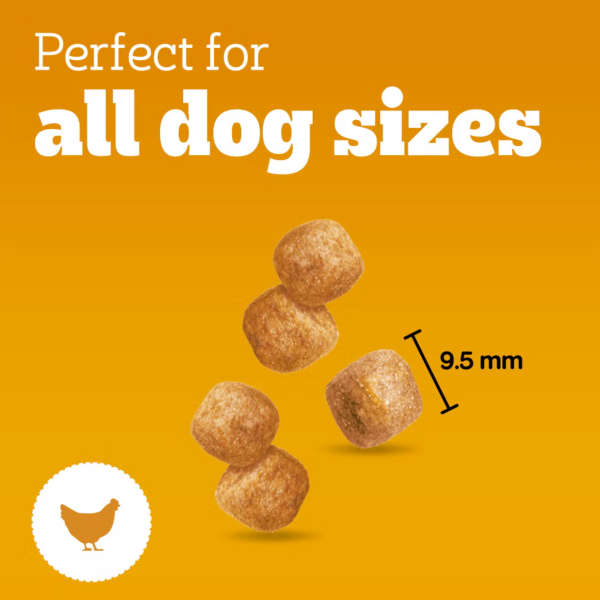 Pedigree Tasty Minis - Puppy 125g