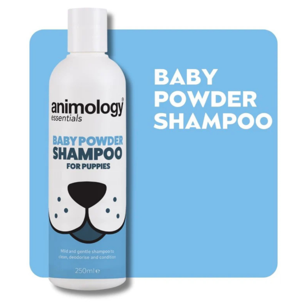 Animology Essentials Dog Shampoo - 250ml