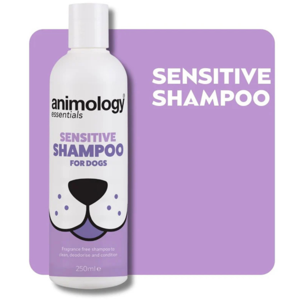 Animology Essentials Dog Shampoo - 250ml