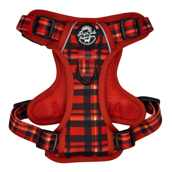 Pup Club Couture - Rugged Rover Harness