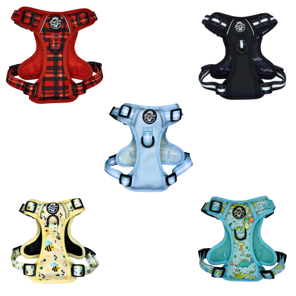Pup Club Couture - Rugged Rover Harness