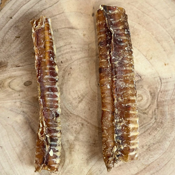 Beef Trachea