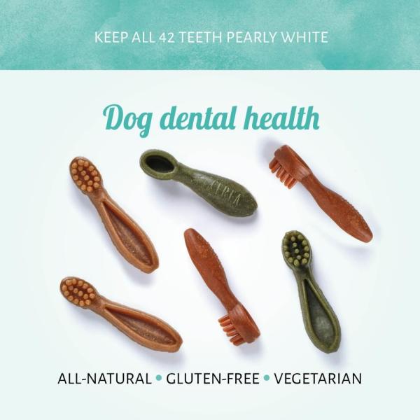 Antos Cera Mini Toothbrush 7cm