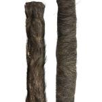 Hairy Jumbo Buffalo Roll