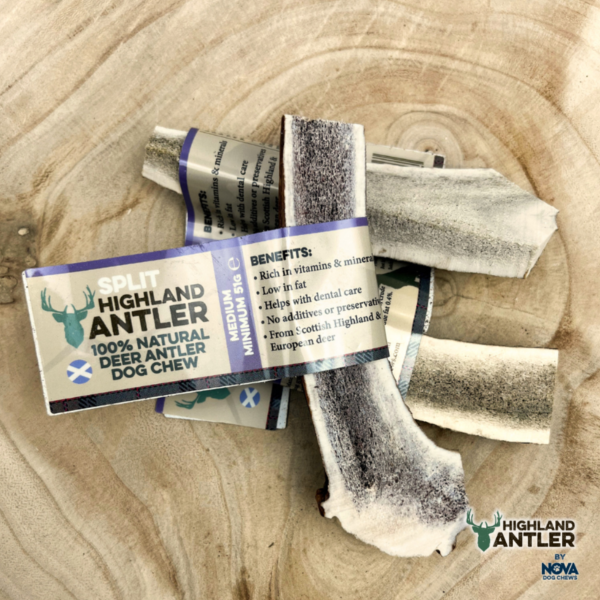 Highland Antler -Split