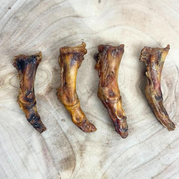 Ostrich Foot - Small