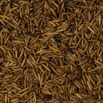 Johnston & Jeff Dried Calciworms 500g