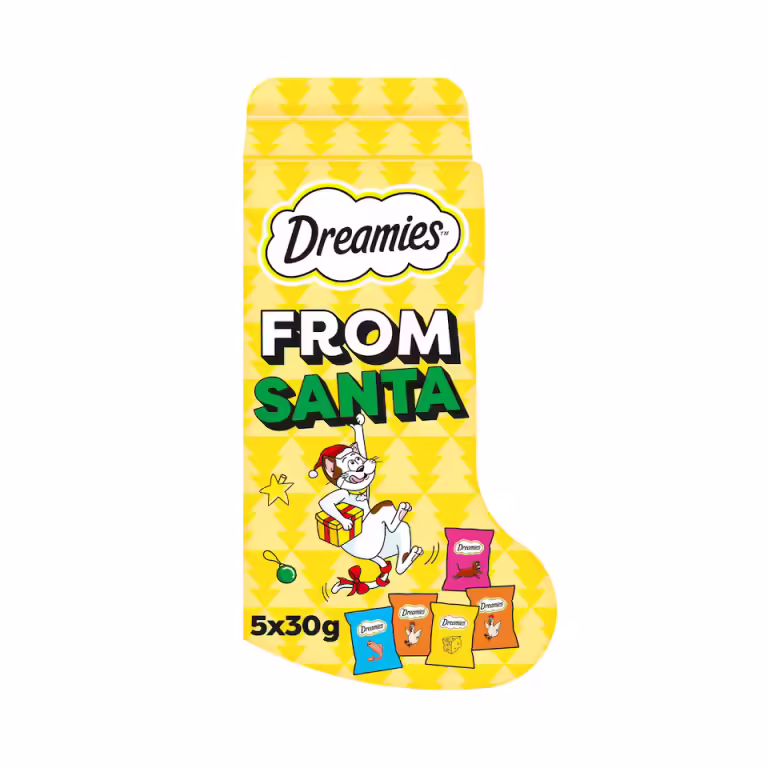 Home Main Main Image