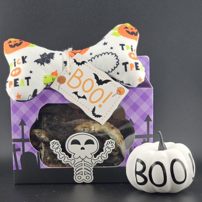 Halloween Doggy Treat Box Main Image