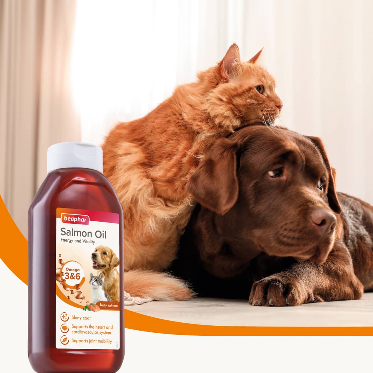 Beaphar Salmon Oil for Cats & Dogs Main Image