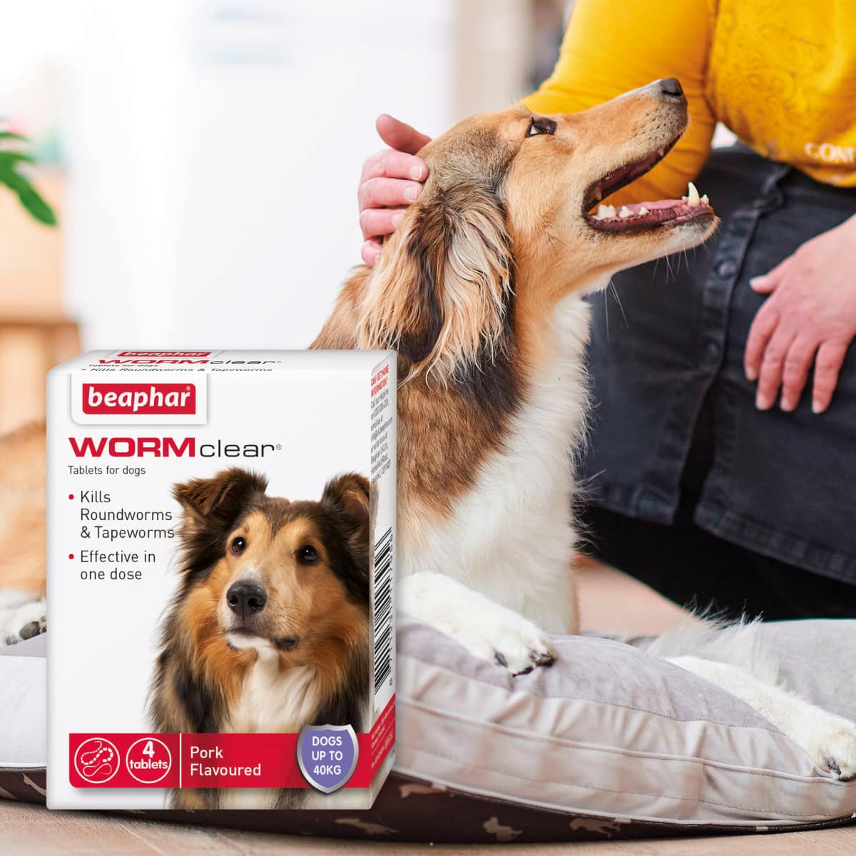 Beaphar Wormclear Dogs - 40kg (4 Tablets) Main Image