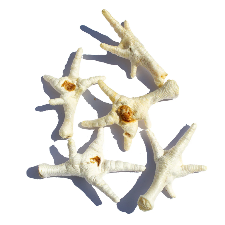 Home Main Main Image