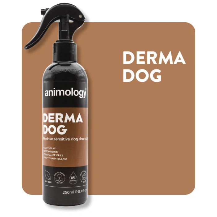 Animology Dog Shampoo - Derma Dog No Rinse 250ml Main Image