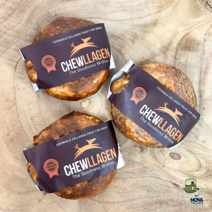 Chewllagen Chicken Donut 3.5″ Main Image