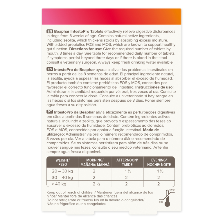 Home Main Main Image