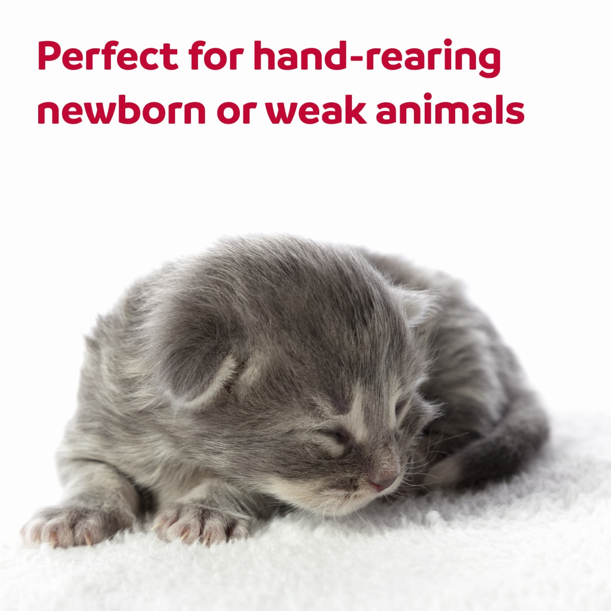 Beaphar Lactol Milk Replacer Feeding Syringes for Kittens & Puppies Main Image