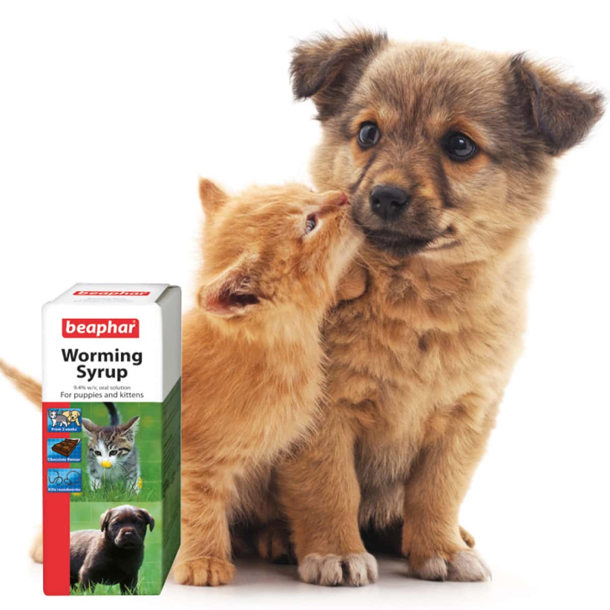 Beaphar Worming Syrup for Cats & Dogs 45ml Main Image