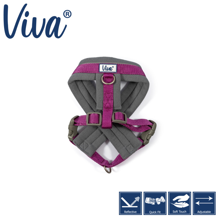 Ancol Viva Padded Harness - Purple Main Image