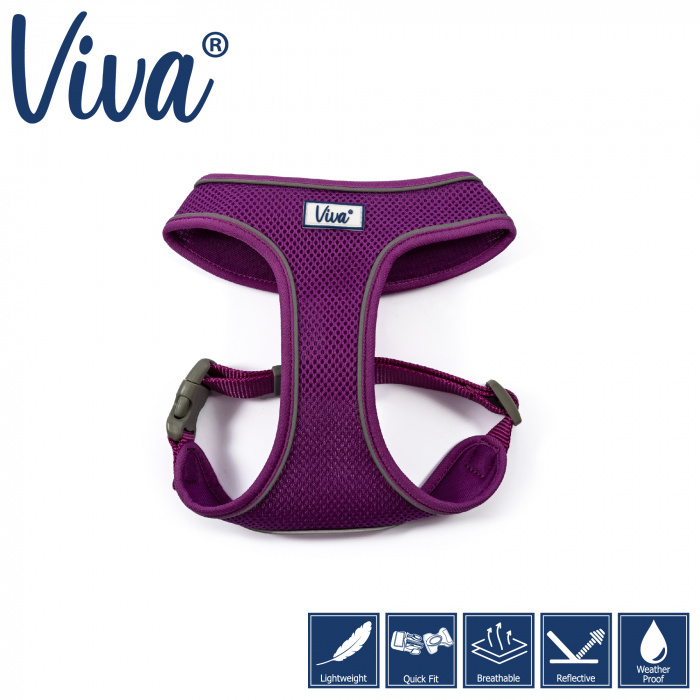Viva Mesh Harness - Purple Main Image
